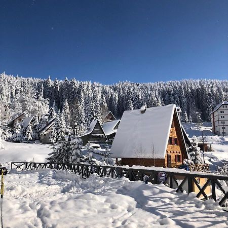 Vila Irina - Apartman Milos Kopaonik Dış mekan fotoğraf
