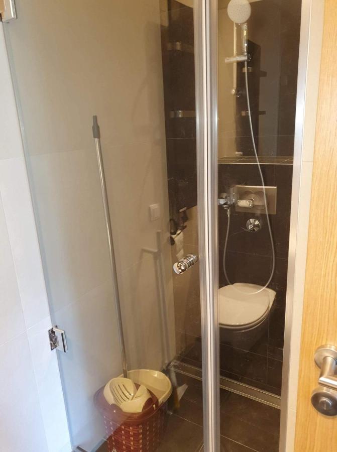 Vila Irina - Apartman Milos Kopaonik Dış mekan fotoğraf