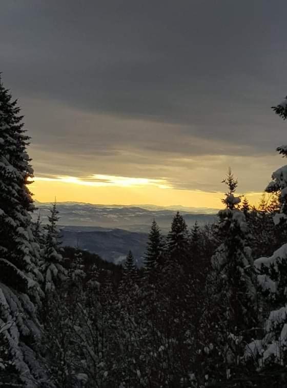 Vila Irina - Apartman Milos Kopaonik Dış mekan fotoğraf