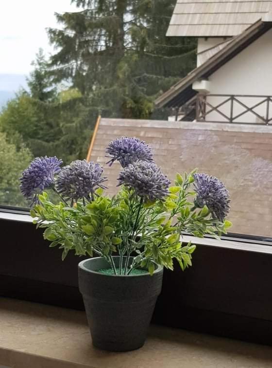 Vila Irina - Apartman Milos Kopaonik Dış mekan fotoğraf
