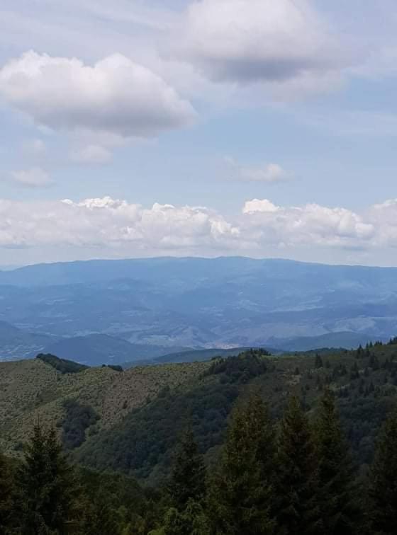 Vila Irina - Apartman Milos Kopaonik Dış mekan fotoğraf