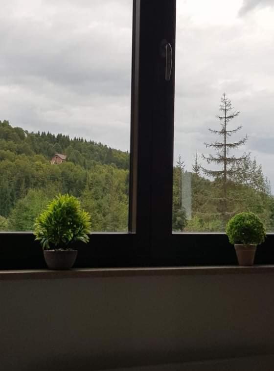 Vila Irina - Apartman Milos Kopaonik Dış mekan fotoğraf