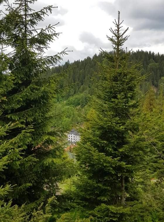 Vila Irina - Apartman Milos Kopaonik Dış mekan fotoğraf