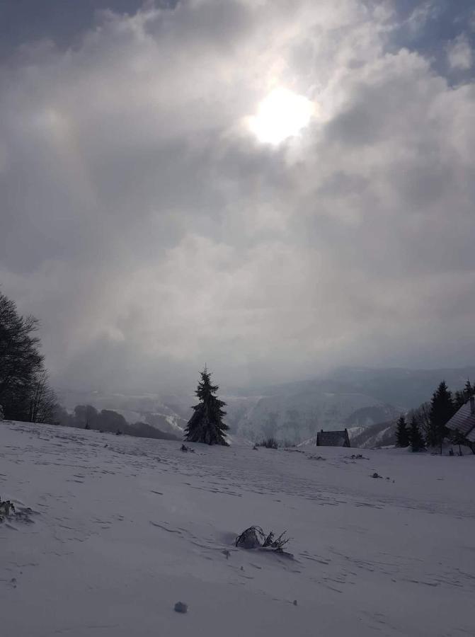 Vila Irina - Apartman Milos Kopaonik Dış mekan fotoğraf