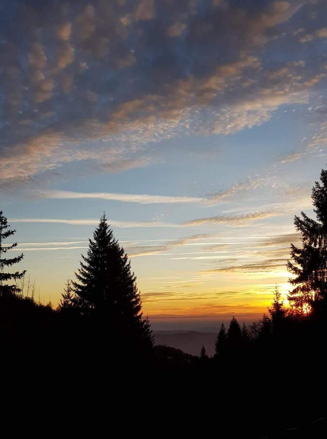 Vila Irina - Apartman Milos Kopaonik Dış mekan fotoğraf