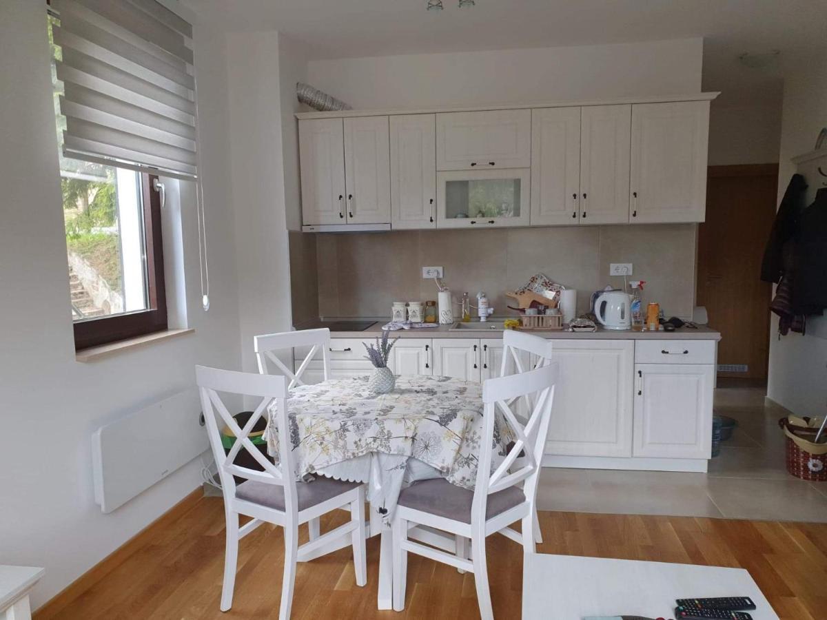 Vila Irina - Apartman Milos Kopaonik Dış mekan fotoğraf